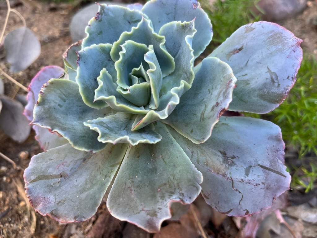 This image has an empty alt attribute; its file name is img_7104.jpg